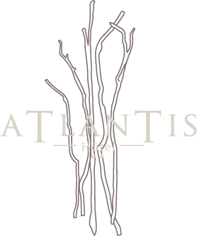 BIENVENUE À L'HÔTEL ATLANTIS MIMIZAN